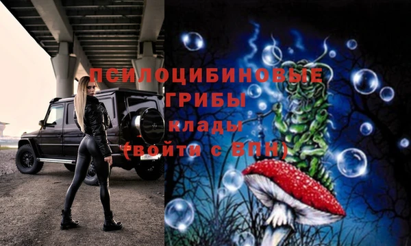 бошки Баксан