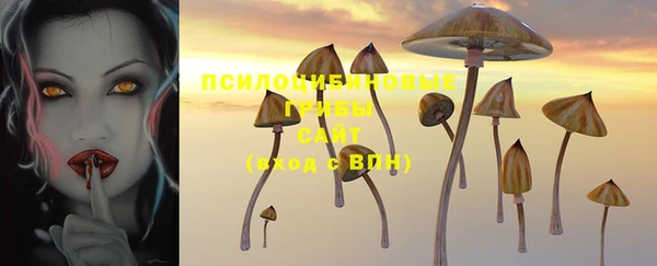 бошки Баксан